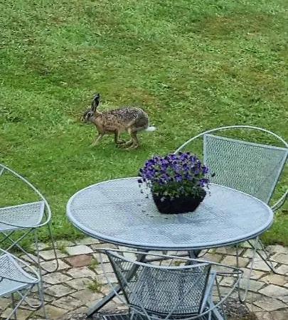 Seaside Husum (Schleswig-Holstein)