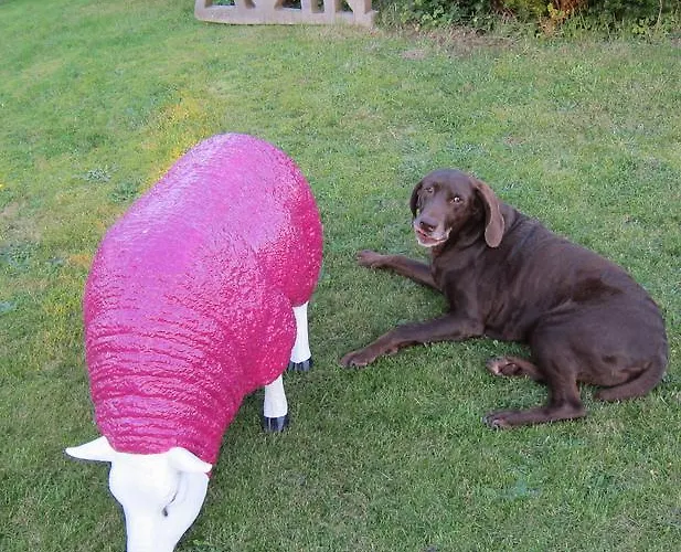 Seaside * Husum (Schleswig-Holstein)