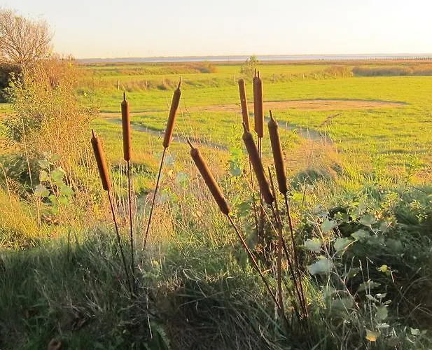 Seaside Appartamento